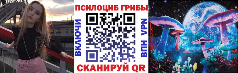 Купить закладки  Самара  Псилоцибиновые грибы Magic Shrooms 